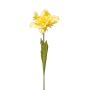 False flower Parrot tulip ALISCHA, yellow, 28"/70cm