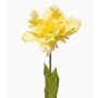 False flower Parrot tulip ALISCHA, yellow, 28"/70cm