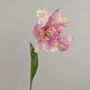 False flower Parrot tulip ALISCHA, light pink, 28"/70cm