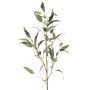 Artificial eucalyptus branch JURKA with fruits, green-grey, 4ft/115cm