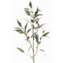 Artificial eucalyptus branch JURKA with fruits, green-grey, 4ft/115cm