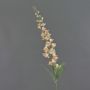 Artificial bellflower NEVLAR, peach-pink, 95cm, Ø10cm