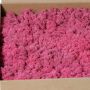 Icelandic natural moss SVEINBJÖRN, fuchsia, 2.7kg
