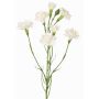 Decorative carnation branch PIARA, white, 60cm, Ø3–5cm