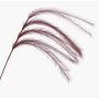 Decorative feather grass panicle branch LUMINIA, burgundy, 135cm