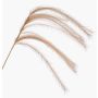 Decorative feather grass panicle branch LUMINIA, beige, 135cm
