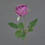 POPI decorative artificial rose, violet-green, 55cm, Ø7cm