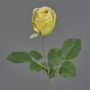 POPI decorative artificial rose, yellow-green-pink, 55cm, Ø7cm