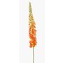 Large artificial flower, NITTI prairie candle, orange, 130cm