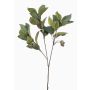 Artificial eucalyptus branch VIZIMIR with fruits, green, 80cm
