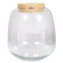 Glass plant terrarium YASIL with cork lid, clear, 10"/25cm, Ø8"/21cm