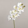Artificial Cymbidium Orchid Branch LANAKILA, white, 70 cm, Ø9 cm