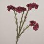 Decorative beach lavender AYISHA, dried-look, dark red, 26"/65cm, 1.4"x2.4"/3.5x6cm