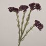 Decorative beach lavender flower AYISHA, dried look, dark violet, 26"/65cm, 1.4"x2.4"/3.5x6cm