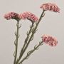 Decorative beach lavender flower AYISHA, dried look, dusky pink, 26"/65cm, 1.4"x2.4"/3.5x6cm