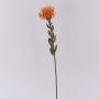 Decorative flower Pincushion protea URMINE, dry look, orange, 24"/60cm
