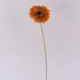 Decorative flower Gerbera TUNGUSKA, dry look, orange, 20"/50cm