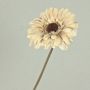 Decorative flower Gerbera TUNGUSKA, dry look, cream-beige, 20"/50cm