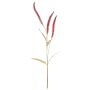 Artificial grass Liriope branch JELIKANTA with panicles, burgundy red, 30"/75cm