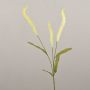 Artificial grass Liriope branch JELIKANTA with panicles, cream-green, 30"/75cm