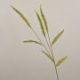 Artificial grass Liriope branch JELIKANTA with panicles, green-brown, 30"/75cm
