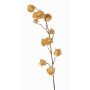Artificial Physalis branch AINOS, fruits, glitter, beige, 31"/80cm
