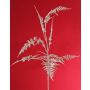 Artificial Asparagus plumosus branch GIONA, silver, 85cm