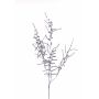 Artificial Asparagus acutifolius branch PARNASO, silver, 100cm