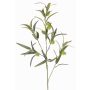 Faux balloon spurge branch TASMIN, fruits, green, 37"/95cm