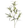 Artificial balloon spurge branch TASMIN, fruits, green, 95cm