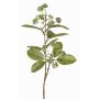 Faux dogwood branch PANGO with buds, green-white, 28"/70cm, Ø2.8"/7cm