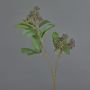 Artificial dogwood branch PANGO with buds, dark purple, 70cm, Ø7cm