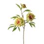 Artificial peony branch MANJA, green-fuchsia, 28"/70cm, Ø3.1"-4"/8-10cm