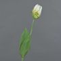 False flower Parrot tulip UAKARI, white-green, 26"/65cm, Ø2.4"/6cm