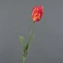 False flower Parrot tulip UAKARI, red-orange-green, 26"/65cm, Ø2.4"/6cm