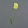 False flower Parrot tulip UAKARI, light yellow-green-pink, 26"/65cm, Ø2.4"/6cm