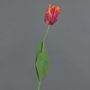 False flower Parrot tulip UAKARI, red-fuchsia-orange-green, 26"/65cm, Ø2.4"/6cm