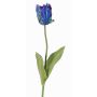 False flower Parrot tulip UAKARI, blue-green, 26"/65cm, Ø2.4"/6cm