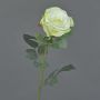 Velvet rose HUSA, white-green, 30"/75cm, Ø4"/10cm