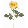 Velvet rose HUSA, yellow, 30"/75cm, Ø4"/10cm