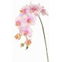 Artificial flower branch Phalaenopsis orchid WESA, pink-white, 3ft/100cm