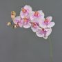 Artificial flower branch Phalaenopsis orchid WESA, pink-white, 3ft/100cm
