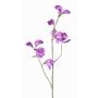 Decorative flower Lathyrus ASFALOTH, purple, 65cm, Ø3–5cm