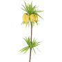 Decorative flower Crown imperial IMST, yellow, 26"/65cm