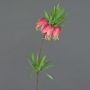 Decorative flower Crown imperial IMST, fuchsia, 26"/65cm