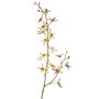 Artificial flower branch Cattleya orchid TRASSA, light green-red, 31"/80cm