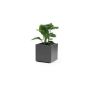 Square planter NASTASJA made of recycled plastic, with water reservoir, casters, anthracite, 16"x16"x15"/39,5x39,5x38cm, 35L