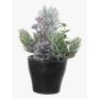 Artificial arrangement: fir, hops, mockberry 'VIANNO', snow-effect, decorative pot, green-white, 5.5"/14cm, Ø4.3"/11cm