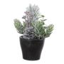 Artificial arrangement: fir, hops, mockberry ‘VIANNO’, snow-effect, decorative pot, green and white, 14 cm, Ø 11 cm