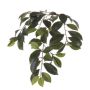 Decorative ficus microcarpa branch BHAO, 26"/65cm